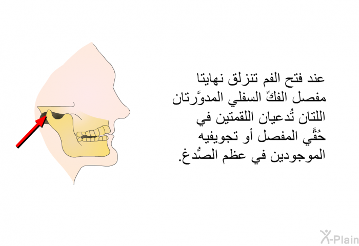 عند فتح الفم، تنزلق نهايتا مفصل الفكِّ السفلي المدوَّرتان اللتان تُدعيان اللقمتين، في حُقَّي المفصل أو تجويفيه الموجودين في عظم الصُّدغ.