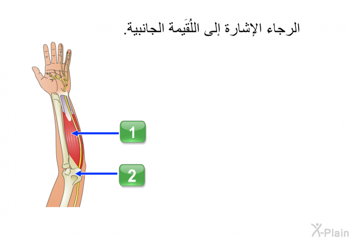 الرجاء الإشارة إلى اللُقَيمة الجانبية.