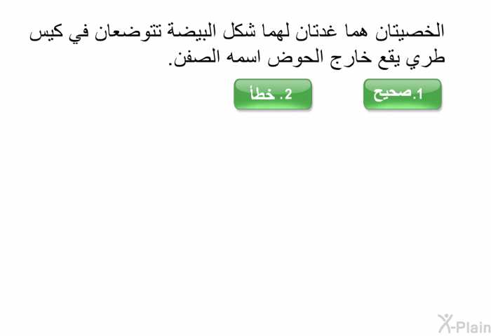 الخصيتان هما غدتان لهما شكل البيضة تتوضعان في كيس طري يقع خارج الحوض اسمه الصفن.