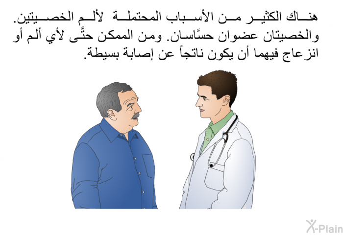 هناك الكثير من الأسباب المحتملة لألم الخصيتين. والخصيتان عضوان حسَّاسان. ومن الممكن حتَّى لأي ألم أو انزعاج فيهما أن يكون ناتجاً عن إصابة بسيطة.