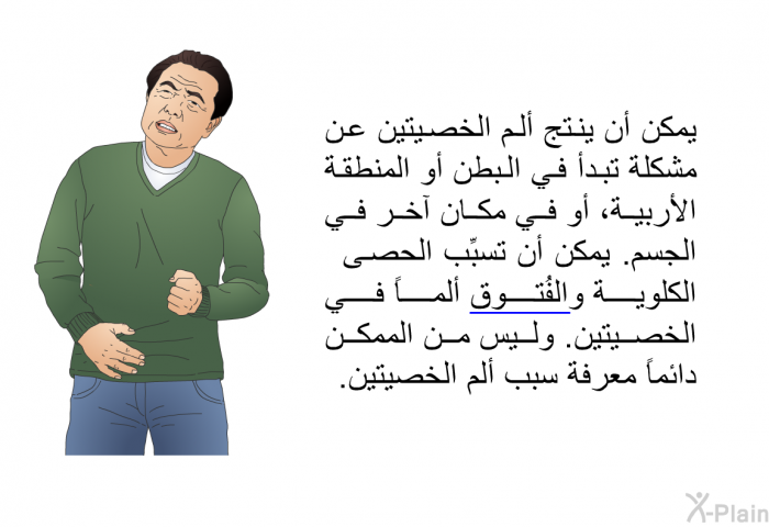 يمكن أن ينتج ألم الخصيتين عن مشكلة تبدأ في البطن أو المنطقة الأربية، أو في مكان آخر في الجسم. يمكن أن تسبِّب الحصى الكلوية والفُتوق ألماً في الخصيتين. وليس من الممكن دائماً معرفة سبب ألم الخصيتين.