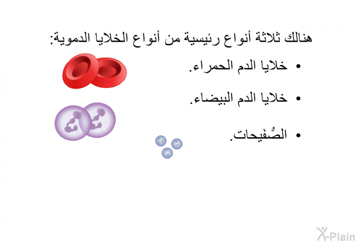 هنالك ثلاثة أنواع رئيسية من أنواع الخلايا الدموية:  خلايا الدم الحمراء. خلايا الدم البيضاء. الصُّفَيحات.