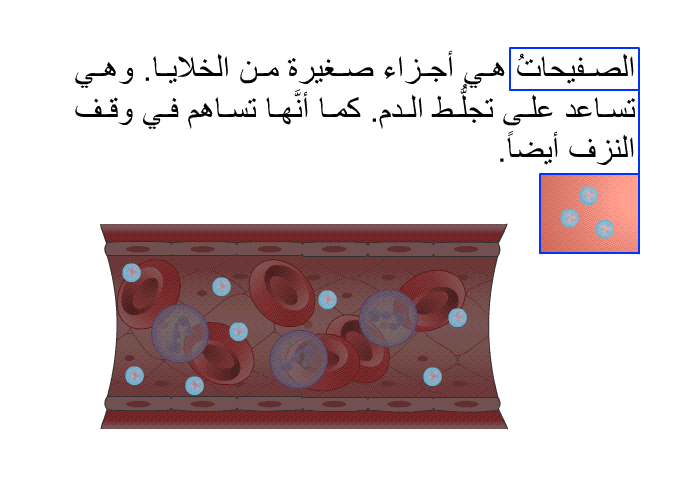 الصفيحاتُ هي أجزاء صغيرة من الخلايا. وهي تساعد على تجلُّط الدم. كما أنَّها تساهم في وقف النزف أيضاً.
