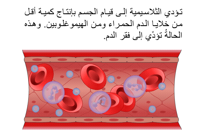 تؤدي الثلاسيمية إلى قيام الجسم بإنتاج كمية أقل من خلايا الدم الحمراء ومن الهيموغلوبين. وهذه الحالةُ تؤدِّي إلى فقر الدم.