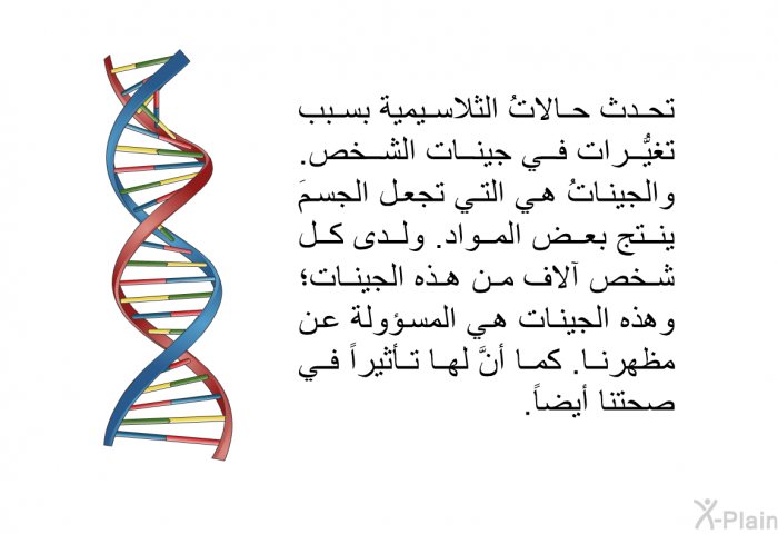 تحدث حالاتُ الثلاسيمية بسبب تغيُّرات في جينات الشخص. والجيناتُ هي التي تجعل الجسمَ ينتج بعض المواد. ولدى كل شخص آلاف من هذه الجينات؛ وهذه الجينات هي المسؤولة عن مظهرنا. كما أنَّ لها تأثيراً في صحتنا أيضاً.