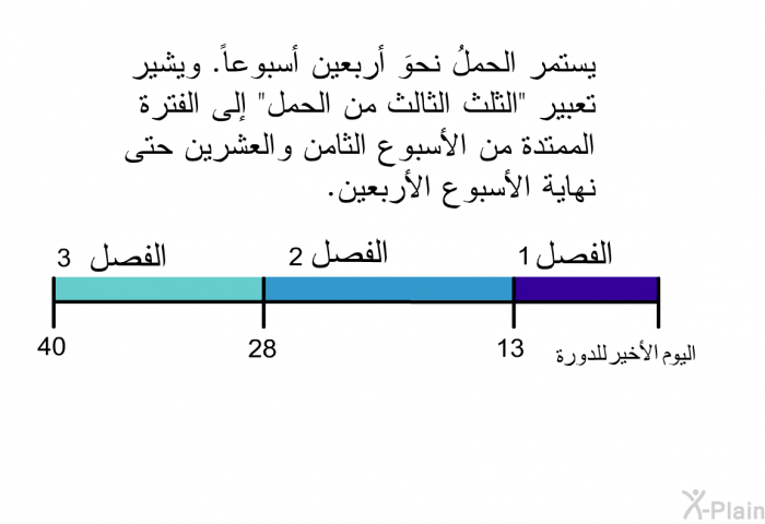 يستمر الحملُ نحوَ أربعين أسبوعاً. ويشير تعبير "الثلث الثالث من الحمل" إلى الفترة الممتدة من الأسبوع الثامن والعشرين حتى نهاية الأسبوع الأربعين.