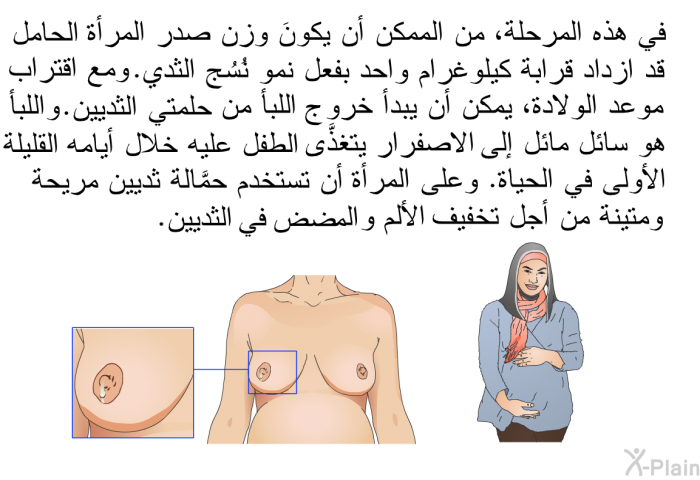 في هذه المرحلة، من الممكن أن يكونَ وزن صدر المرأة الحامل قد ازداد قرابة كيلوغرام واحد بفعل نمو نُسُج الثدي. ومع اقتراب موعد الولادة، يمكن أن يبدأ خروج اللبأ من حلمتي الثديين. واللبأ هو سائل مائل إلى الاصفرار يتغذَّى الطفل عليه خلال أيامه القليلة الأولى في الحياة. وعلى المرأة أن تستخدم حمَّالة ثديين مريحة ومتينة من أجل تخفيف الألم أو الإيلام في الثديين.