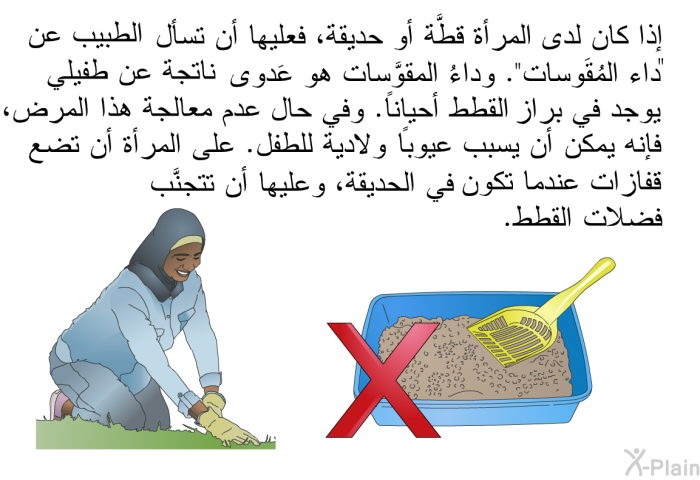إذا كان لدى المرأة قطَّة أو حديقة، فعليها أن تسأل الطبيب عن 