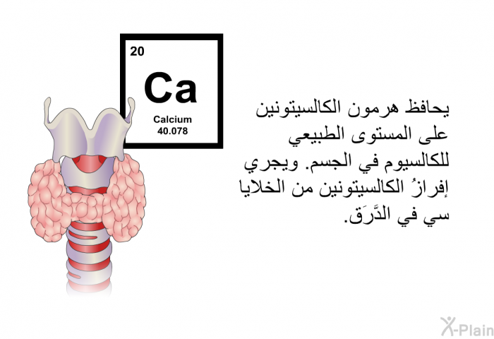 يحافظ هرمون الكالسيتونين على المستوى الطبيعي للكالسيوم في الجسم. ويجري إفرازُ الكالسيتونين من الخلايا سي في الدَّرَق.