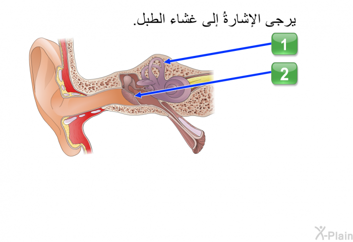 يرجى الإشارةُ إلى غشاء الطبل.