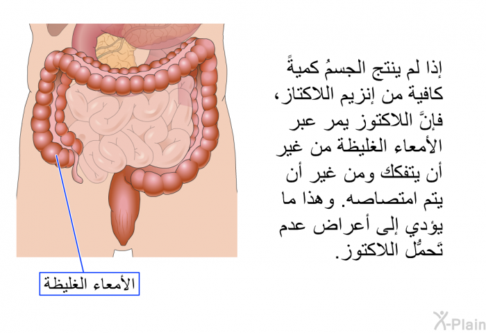 إذا لم ينتج الجسمُ كميةً كافية من إنزيم اللاكتاز، فإنَّ اللاكتوز يمر عبر الأمعاء الغليظة من غير أن يتفكك ومن غير أن يتم امتصاصه. وهذا ما يؤدي إلى أعراض عدم تَحمُّل اللاكتوز.