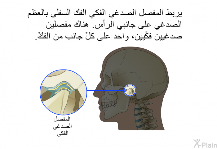 يربط المفصل الصدغي الفكي الفك السفلي بالعظم الصدغي على جانبي الرأس. هناك مفصلين صدغيين فكِّيين، واحد على كلِّ جانب من الفكِّ.