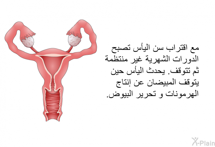 مع اقتراب سن اليأس تصبح الدورات الشهرية غير منتظمة ثم تتوقف. يحدث اليأس حين يتوقف المبيضان عن إنتاج الهرمونات و تحرير البيوض.