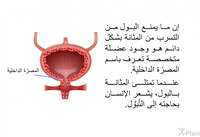 إن ما يمنع البول من التسرب من المثانة بشكل دائم هو وجود عضلة متخصصة تعرف باسم "المًصَرَّة الداخلية". عندما تمتلئ المثانة بالبول، يشعر الإنسان بحاجته إلى التَّبوُّل.