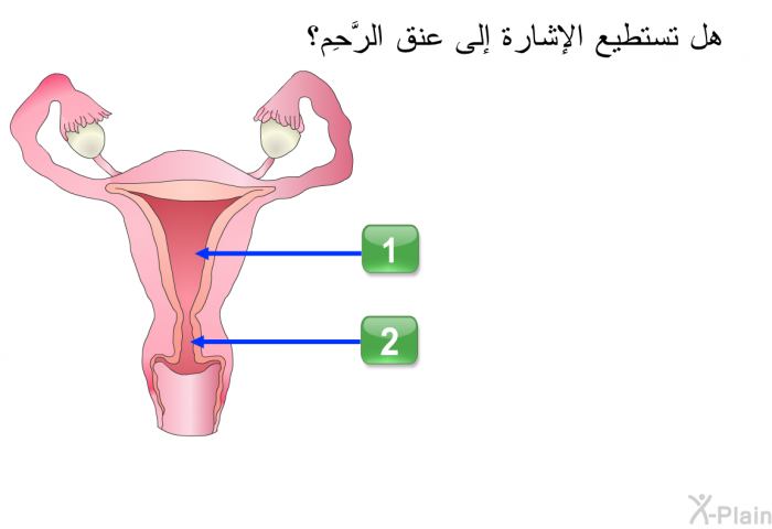 هل تستطيع الإشارة إلى عنق الرَّحِم؟