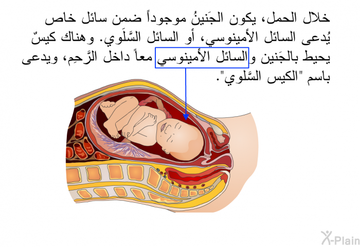 خلال الحمل، يكون الجَنينُ موجوداً ضمن سائل خاص يُدعى السائل الأمينوسي، أو السائل السَّلَوي. وهناك كيسٌ يحيط بالجَنين والسائل الأمينوسي معاً داخل الرَّحِم، ويدعى باسم "الكيس السَّلَوي".