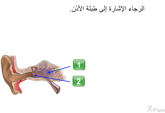 الرجاء الإشارة إلى طبلة الأذن.