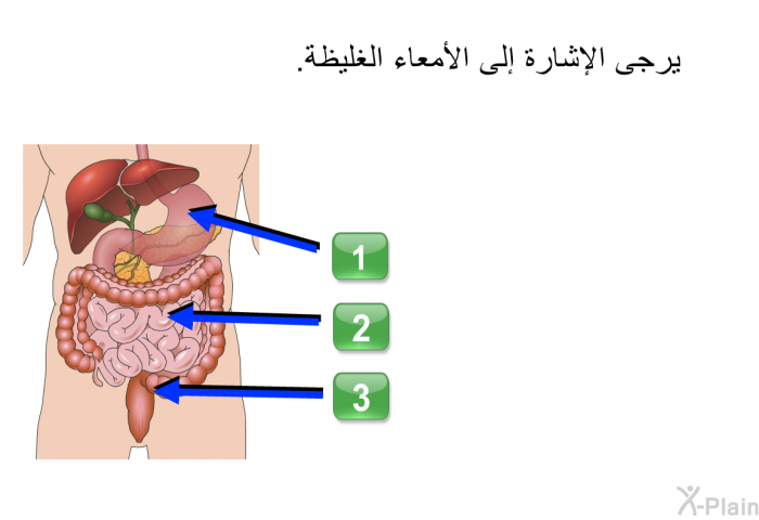 يرجى الإشارة إلى الأمعاء الغليظة.