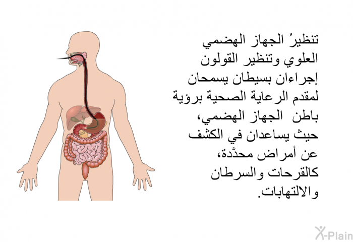 تنظيرُ الجهاز الهضمي العلوي وتنظير القولون إجراءان بسيطان يسمحان لمقدم الرعاية الصحية برؤية باطن الجهاز الهضمي، حيث يساعدان في الكشف عن أمراض محدَّدة، كالقرحات والسرطان والالتهابات.