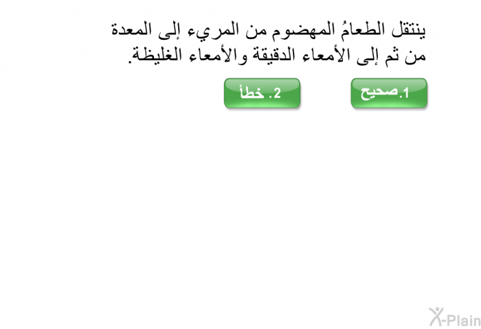 ينتقل الطعامُ المهضوم من المريء إلى المعدة من ثم إلى الأمعاء الدقيقة والأمعاء الغليظة.