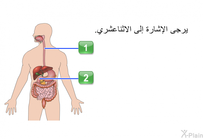 يرجى الإشارة إلى الاثناعشري.