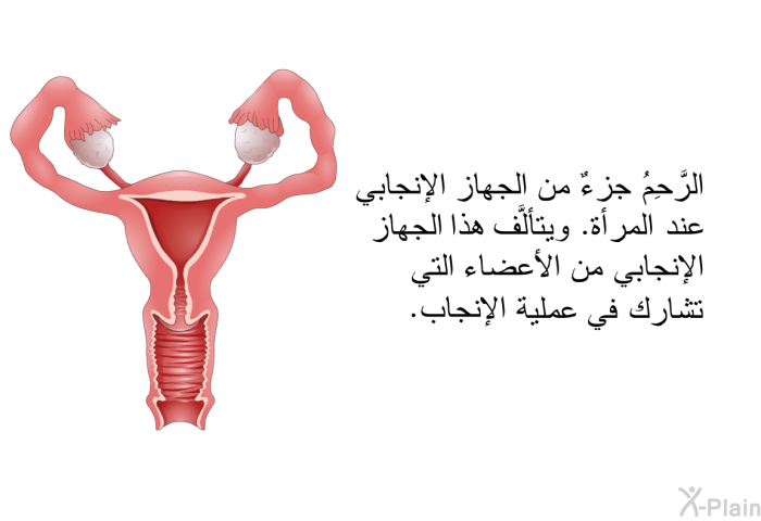 الرَّحِمُ جزءٌ من الجهاز الإنجابي عند المرأة. ويتألَّف هذا الجهاز الإنجابي من الأعضاء التي تشارك في عملية الإنجاب.