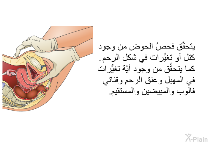 يتحقَّق فحصُ الحوض من وجود كتل أو تغيُّرات في شكل الرحم. كما يتحقَّق من وجود أيَّة تغيُّرات في المهبل وعنق الرحم وقناتي فالوب والمبيضين والمستقيم.