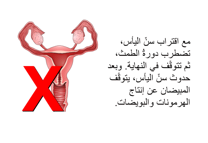 مع اقتراب سنِّ اليأس، تضطرب دورةُ الطمث، ثم تتوقَّف في النهاية. وبعد حدوث سنِّ اليأس، يتوقَّف المبيضان عن إنتاج الهرمونات والبويضات.