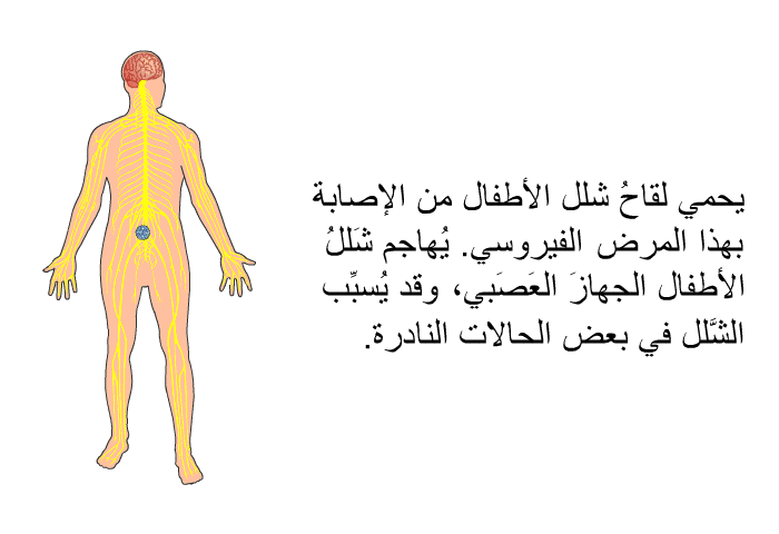 يحمي لقاحُ شلل الأطفال من الإصابة بهذا المرض الفيروسي. يُهاجم شَللُ الأطفال الجهازَ العَصَبي، وقد يُسبِّب الشَّلل في بعض الحالات النادرة.