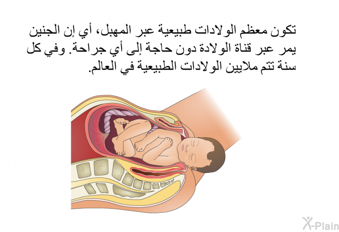 تكون معظم الولادات طبيعية عبر المهبل، أي إن الجنين يمر عبر قناة الولادة دون حاجة إلى أي جراحة. وفي كل سنة تتم ملايين الولادات الطبيعية في العالم.