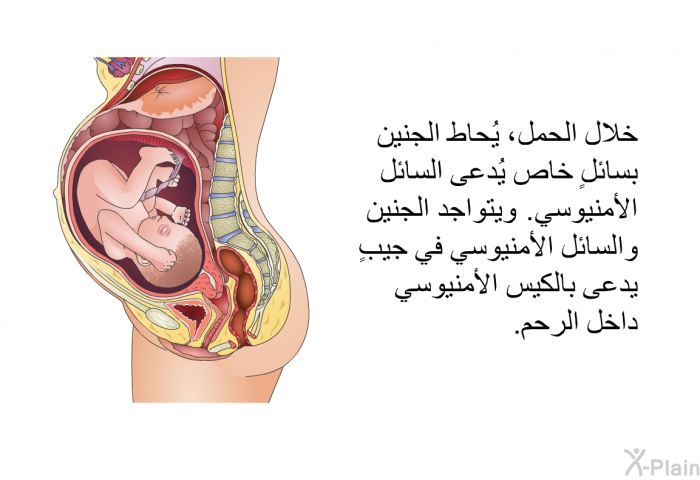 خلال الحمل، يُحاط الجنين بسائلٍ خاص يُدعى السائل الأمنيوسي. ويتواجد الجنين والسائل الأمنيوسي في جيبٍ يدعى بالكيس الأمنيوسي داخل الرحم.