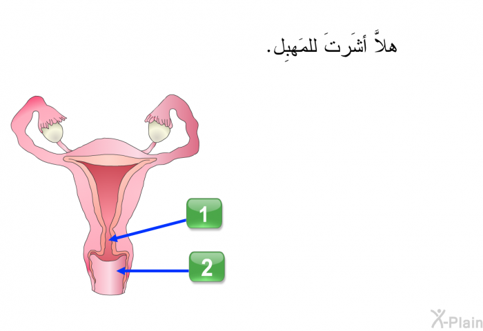 هلاَّ أشَرتَ للمَهبِل.