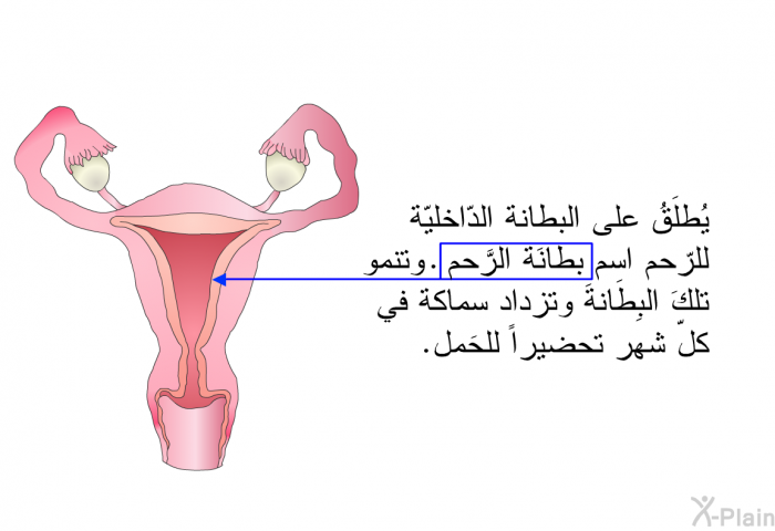 يُطلَقُ على البطانة الدّاخليّة للرّحم اسم بِطانَة الرَّحم. وتنمو تلكَ البِطانَة وتزداد سماكة في كلّ شهر تحضيراً للحَمل.