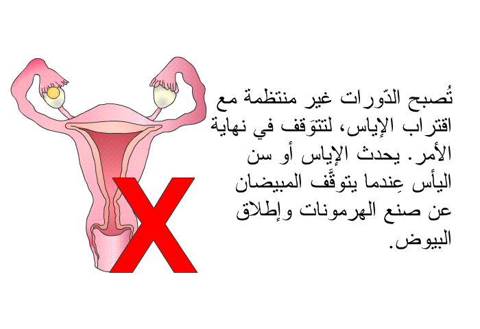 تُصبح الدّورات غير منتظمة مع اقتراب الإياس، لتتوَقف في نهاية الأمر. يحدث الإياس أو سن اليأس عِندما يتوقَّف المبيضان عن صنع الهرمونات وإطلاق البيوض.