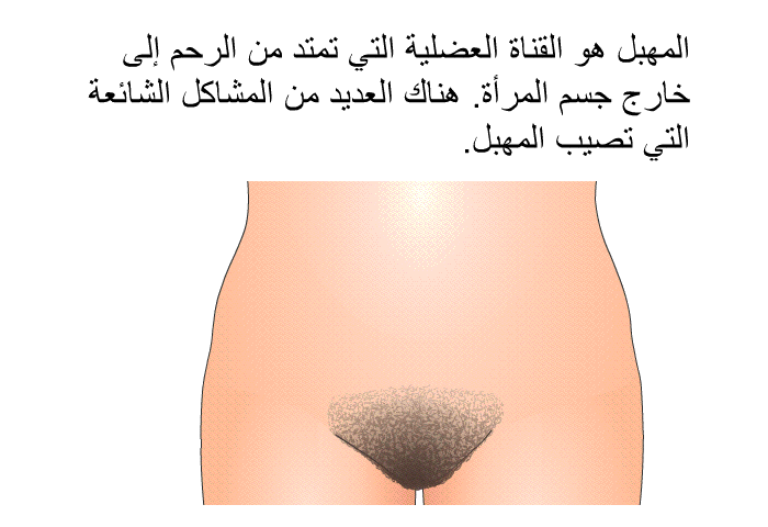 المهبل هو القناة العضلية التي تمتد من الرحم إلى خارج جسم المرأة. هناك العديد من المشاكل الشائعة التي تصيب المهبل.