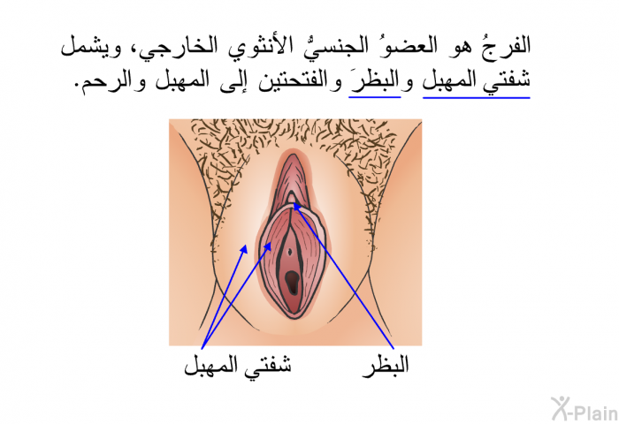 الفرجُ هو العضوُ الجنسيُّ الأنثوي الخارجي، ويشمل شفتي المهبل والبظرَ والفتحتين إلى المهبل والرحم.