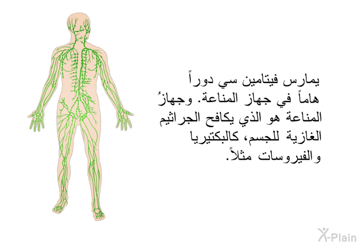 يمارس فيتامين سي دوراً هاماً في جهاز المناعة. وجهازُ المناعة هو الذي يكافح الجراثيم الغازية للجسم، كالبكتيريا والفيروسات مثلاً.