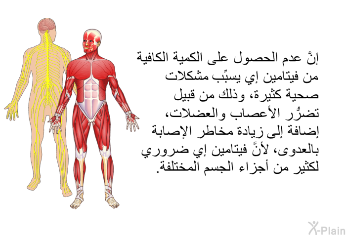 إنَّ عدم الحصول على الكمية الكافية من فيتامين إي يسبِّب مشكلات صحية كثيرة، وذلك من قبيل تضرُّر الأعصاب والعضلات، إضافة إلى زيادة مخاطر الإصابة بالعدوى، لأنَّ فيتامين إي ضروري لكثير من أجزاء الجسم المختلفة.