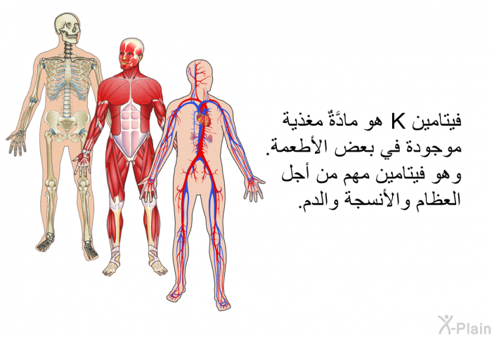 فيتامين K هو مادَّةٌ مغذية موجودة في بعض الأطعمة. وهو فيتامين مهم من أجل العظام والأنسجة والدم.