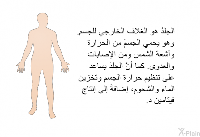 الجلدُ هو الغلاف الخارجي للجسم. وهو يحمي الجسمَ من الحرارة وأشعة الشمس ومن الإصابات والعدوى. كما أنَّ الجلدَ يساعد على تنظيم حرارة الجسم وتخزين الماء والشحوم، إضافةً إلى إنتاج فيتامين د.