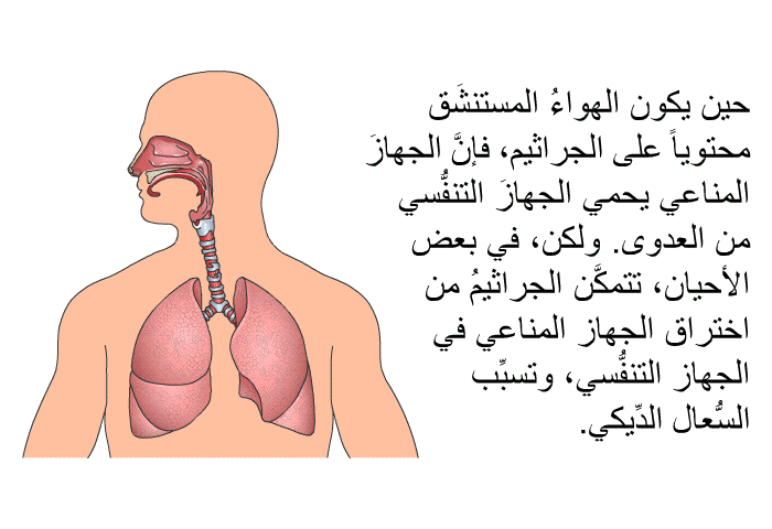 حين يكون الهواءُ المستنشَق محتوياً على الجراثيم، فإنَّ الجهازَ المناعي يحمي الجهازَ التنفُّسي من العدوى. ولكن، في بعض الأحيان، تتمكَّن الجراثيمُ من اختراق الجهاز المناعي في الجهاز التنفُّسي، وتسبِّب السُّعال الدِّيكي.