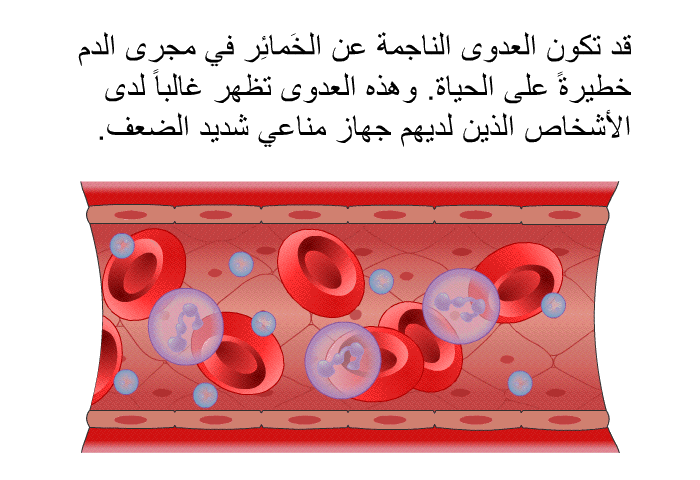 قد تكون العدوى الناجمة عن الخَمائِر في مجرى الدم خطيرةً على الحياة. وهذه العدوى تظهر غالباً لدى الأشخاص الذين لديهم جهاز مناعي شديد الضعف.