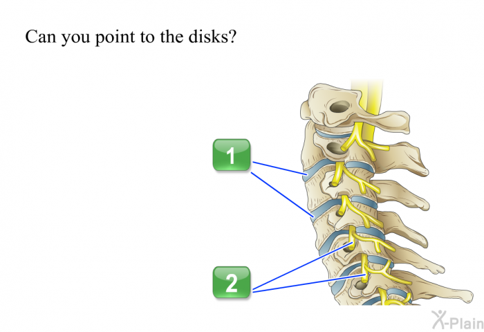 Can you point to the disks? Press A or B