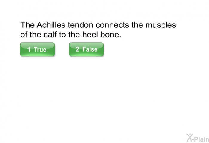 The Achilles tendon connects the muscles of the calf to the heel bone.