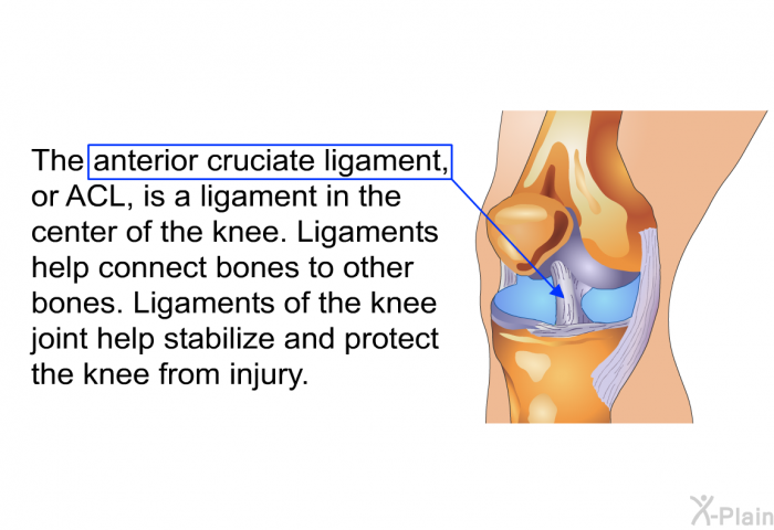 The anterior cruciate ligament, or ACL, is a ligament in the center of the knee. Ligaments help connect bones to other bones. Ligaments of the knee joint help stabilize and protect the knee from injury.