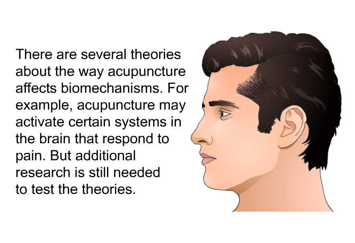 There are several theories about the way acupuncture affects biomechanisms. For example, acupuncture may activate certain systems in the brain that respond to pain. But additional research is still needed to test the theories.