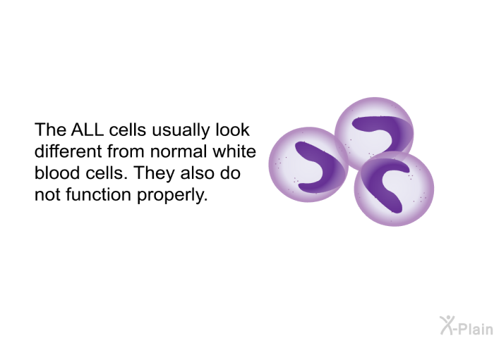 The ALL cells usually look different from normal white blood cells. They also do not function properly.