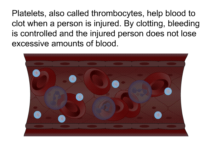 Platelets, also called thrombocytes, help blood to clot when a person is injured. By clotting, bleeding is controlled and the injured person does not lose excessive amounts of blood.