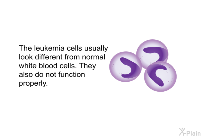 The leukemia cells usually look different from normal white blood cells. They also do not function properly.