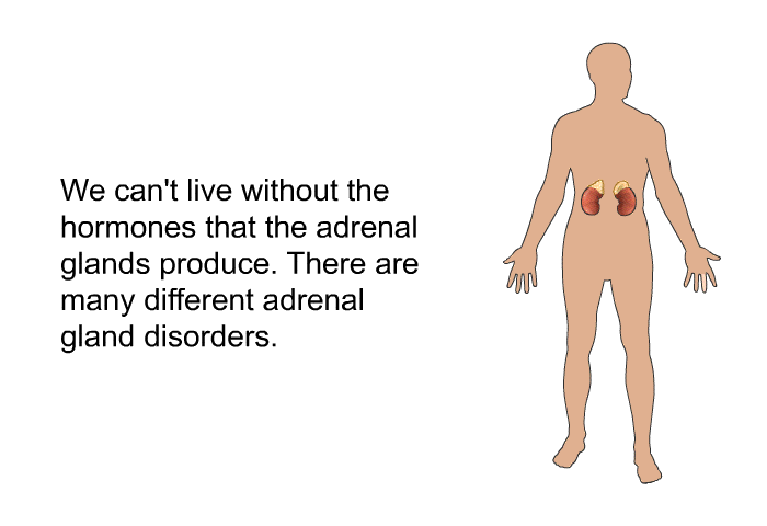 We can't live without the hormones that the adrenal glands produce. There are many different adrenal gland disorders.